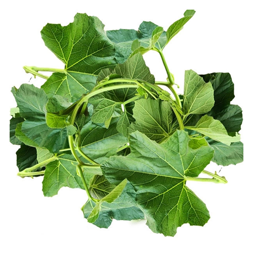 Bottle Gourd Leaves- Lau Shak- Lau-Blattgemüse